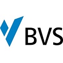 bvs.de icon