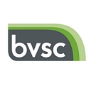 Birmingham Voluntary Service Council logo