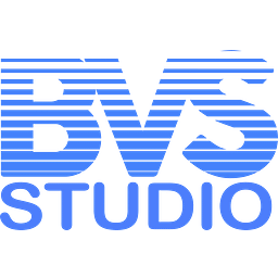 BVS STUDIOS CORP logo
