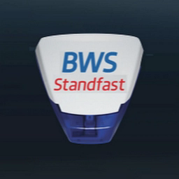 BWS Security Systems Limited logo