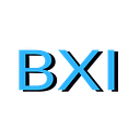 BXI Robotics