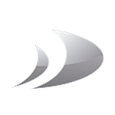 BYD Group logo