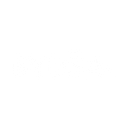 BYDSA logo
