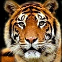 Byron CUSD 226 logo