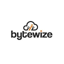 Bytewize It Consulting logo