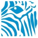 Blue Zebra Insurance logo