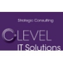 Favicon of C-Level IT Solutions