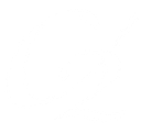 c2paint.com logo