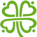 C5 Insight logo
