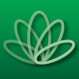 Cairo Amman Bank logo