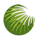 Cabbage Tree Landscape logo
