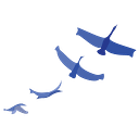 Cadence Education logo