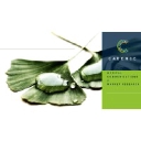 Cadence Communications & Research logo