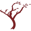 cadewinery.com icon