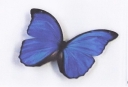 Cad Recycling Ltd logo