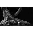 Contemporary Art Foundation logo