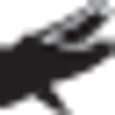 Caiman Gloves logo