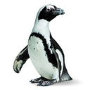 Favicon of California Academy of Sciences