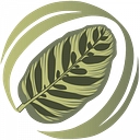 Calathology logo