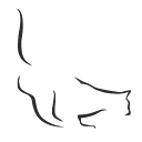 Cat   California Audio Technology logo