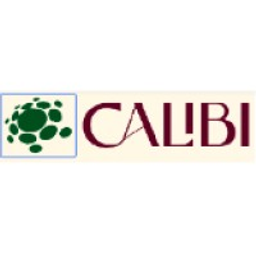 Calibi Consulting LLC logo