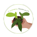 California Tropicals logo