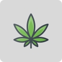 Caliva CBD logo