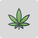 Favicon of Caliva