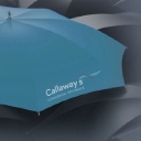 Callaway And Sons Insurance Consultants Ltd logo