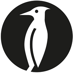 Shaokao logo