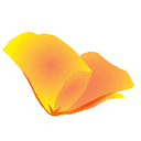 CALIFORNIA ASSOCIATION OF NONPROFITS logo