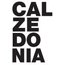 calzedonia.com icon