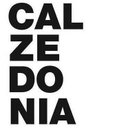 CALZEDONIA logo