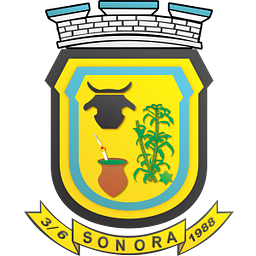 camarasonora.ms.gov.br