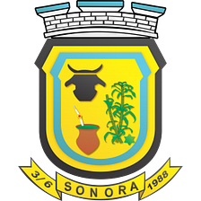 camarasonora.ms.gov.br