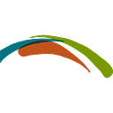 CAMBER FOUNDATION logo