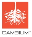 Cambium Group logo