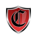 CAMELOT SERVICES INC