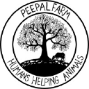 Campa Cola logo