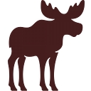 Camp Cody logo