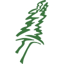 Camp Elim logo