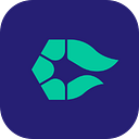 Campflow logo
