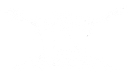 Camp Sankanac logo