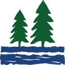 Camp Twin Creeks logo