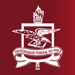 campusananindeua.ufpa.br