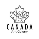 Canada Ant Colony