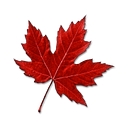 Canada Flowers logo