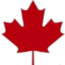 Canadian Cyber Inc. logo