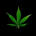 CanadianSeedBank.ca logo