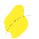 Canary Wellness Apothecary, LLC logo